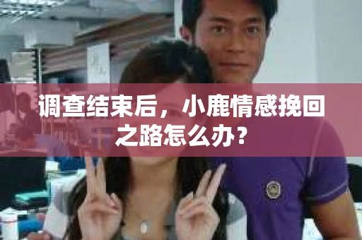 调查结束后，小鹿情感挽回之路怎么办？