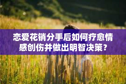 恋爱花销分手后如何疗愈情感创伤并做出明智决策？