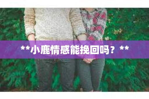 **小鹿情感能挽回吗？**