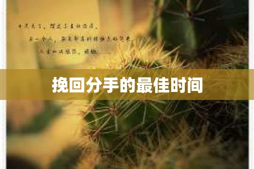 挽回分手的最佳时间