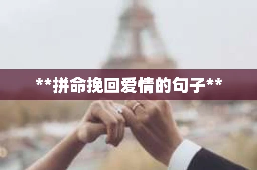 **拼命挽回爱情的句子**