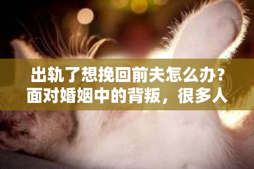 出轨了想挽回前夫怎么办？面对婚姻中的背叛，很多人都会感到痛苦和无助。但生活总是充满了转机，如果你真心想要挽回前夫，那么以下这些方法或许能给你一些启示。