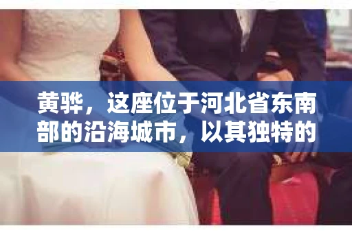 黄骅，这座位于河北省东南部的沿海城市，以其独特的地理位置和丰富的历史文化而闻名。然而，在这座城市中，还有一群人，他们以另一种方式默默守护着社会的公平与正义——私家侦探。今天，我们就来聊聊黄骅的私家侦探，看看他们是如何在这个城市中发挥作用的。