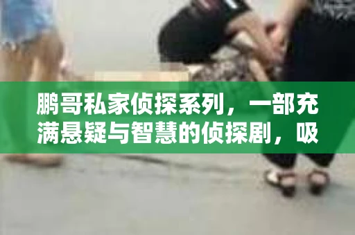 鹏哥私家侦探系列，一部充满悬疑与智慧的侦探剧，吸引了无数观众的眼球。今天，就让我带你走进这个充满神秘色彩的侦探世界，一起在线观看鹏哥私家侦探系列，感受那扣人心弦的故事情节。