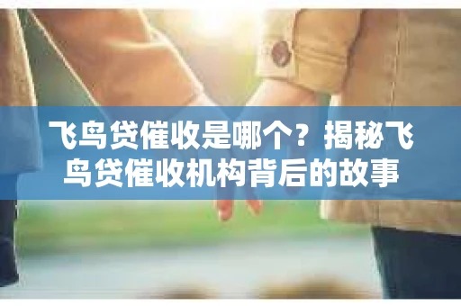 飞鸟贷催收是哪个？揭秘飞鸟贷催收机构背后的故事