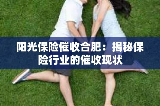 阳光保险催收合肥：揭秘保险行业的催收现状