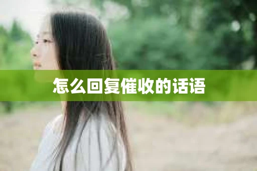 怎么回复催收的话语