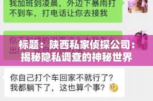 标题：陕西私家侦探公司：揭秘隐私调查的神秘世界