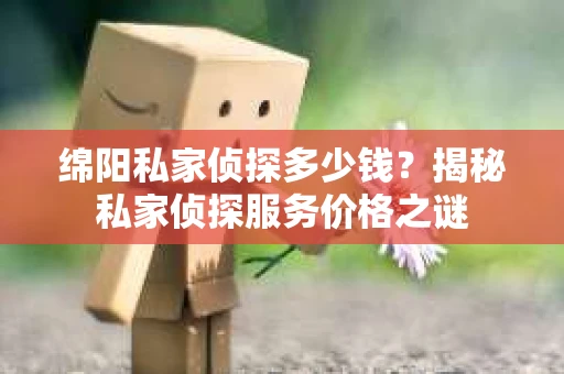 绵阳私家侦探多少钱？揭秘私家侦探服务价格之谜
