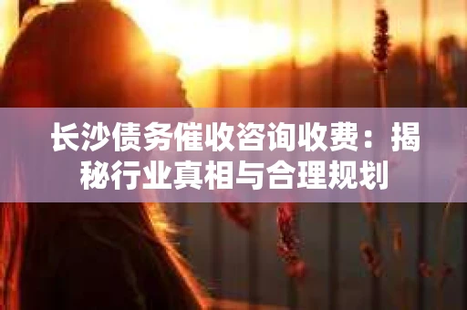 长沙债务催收咨询收费：揭秘行业真相与合理规划