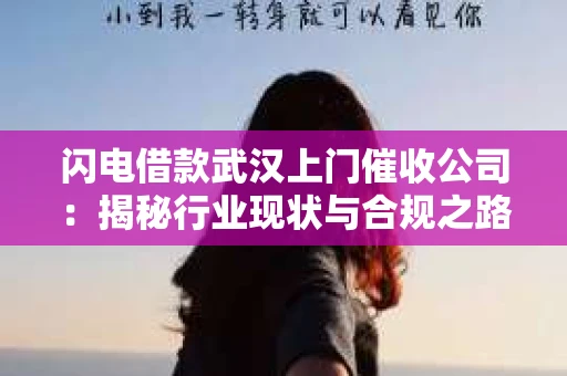 闪电借款武汉上门催收公司：揭秘行业现状与合规之路