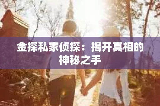 金探私家侦探：揭开真相的神秘之手