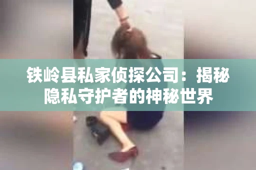 铁岭县私家侦探公司：揭秘隐私守护者的神秘世界