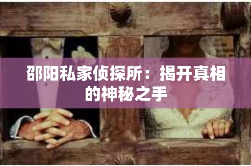 邵阳私家侦探所：揭开真相的神秘之手