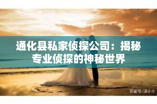 通化县私家侦探公司：揭秘专业侦探的神秘世界