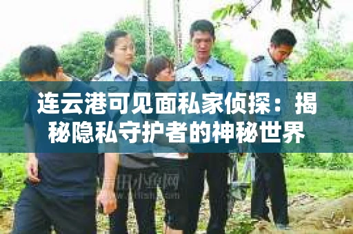连云港可见面私家侦探：揭秘隐私守护者的神秘世界