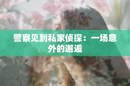 警察见到私家侦探：一场意外的邂逅