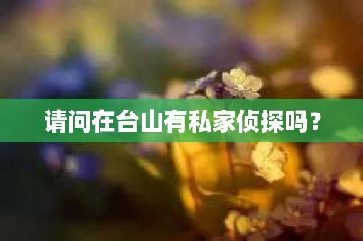 请问在台山有私家侦探吗？
