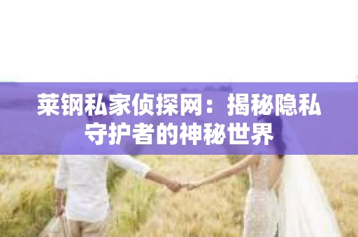 莱钢私家侦探网：揭秘隐私守护者的神秘世界
