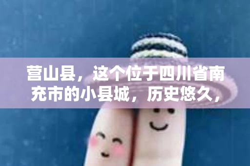 营山县，这个位于四川省南充市的小县城，历史悠久，风景秀丽。但在这个宁静的小县城里，你是否会好奇，有没有私家侦探的存在呢？今天，我就来和大家聊聊这个话题。