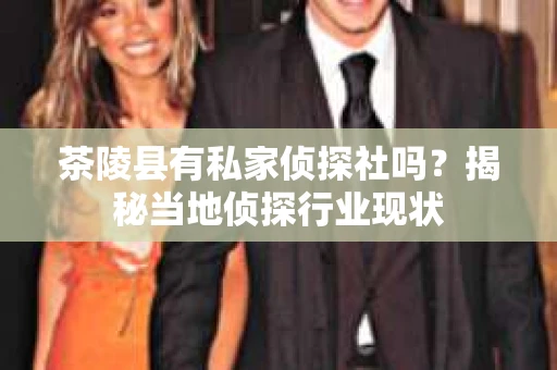 茶陵县有私家侦探社吗？揭秘当地侦探行业现状