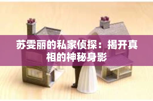 苏雯丽的私家侦探：揭开真相的神秘身影