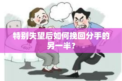 特别失望后如何挽回分手的另一半？