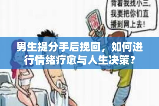 男生提分手后挽回，如何进行情绪疗愈与人生决策？