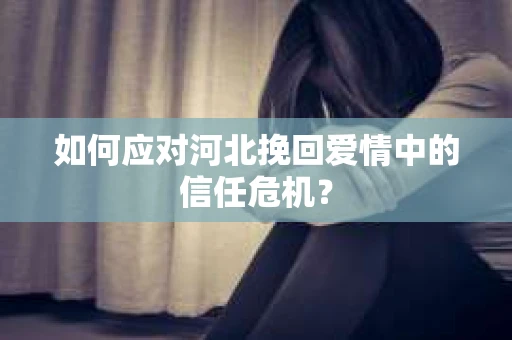 如何应对河北挽回爱情中的信任危机？