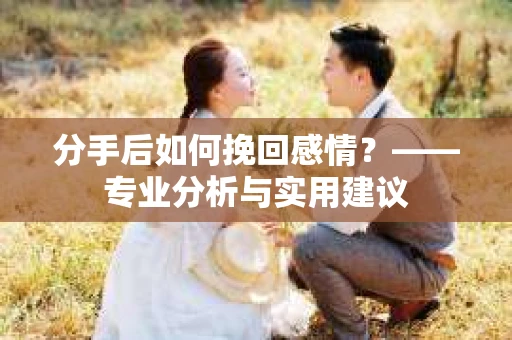 分手后如何挽回感情？——专业分析与实用建议