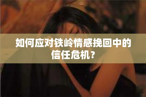 如何应对铁岭情感挽回中的信任危机？